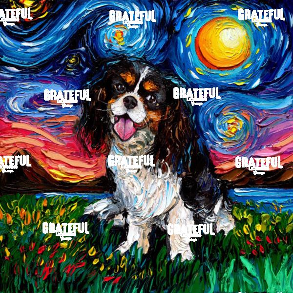 Tri Color Cavalier King Charles Spaniel Night