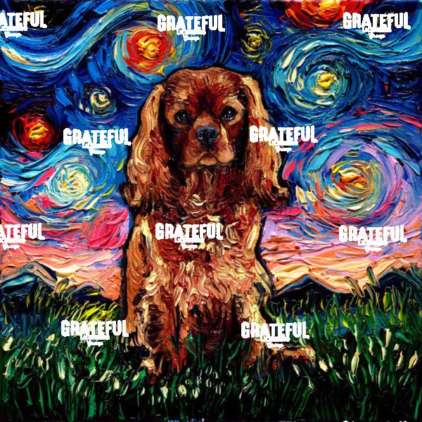 Ruby Cavalier King Charles Spaniel Night