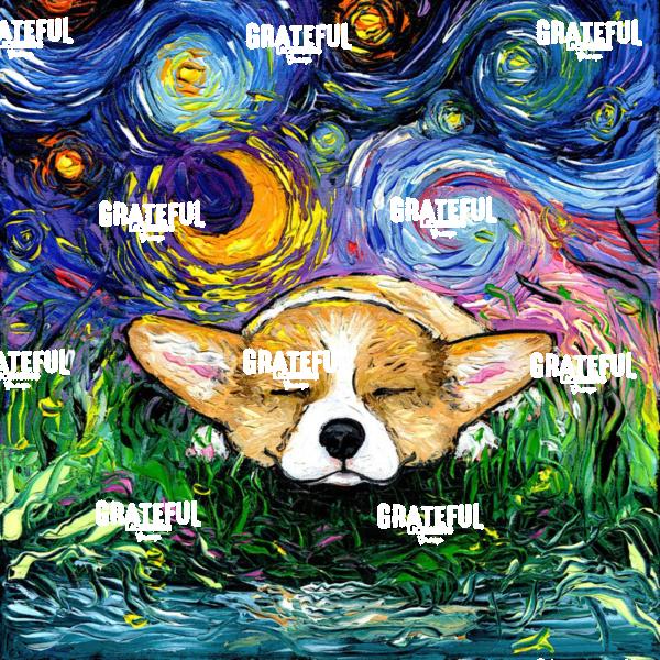 Sleepy Corgi Night