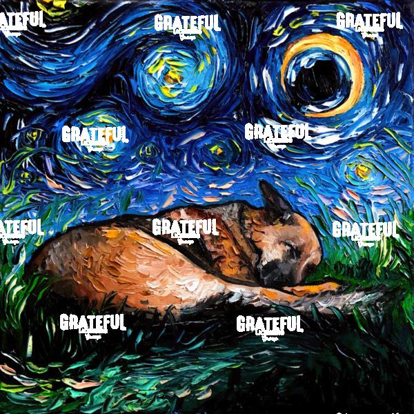 Sleeping German Shepherd