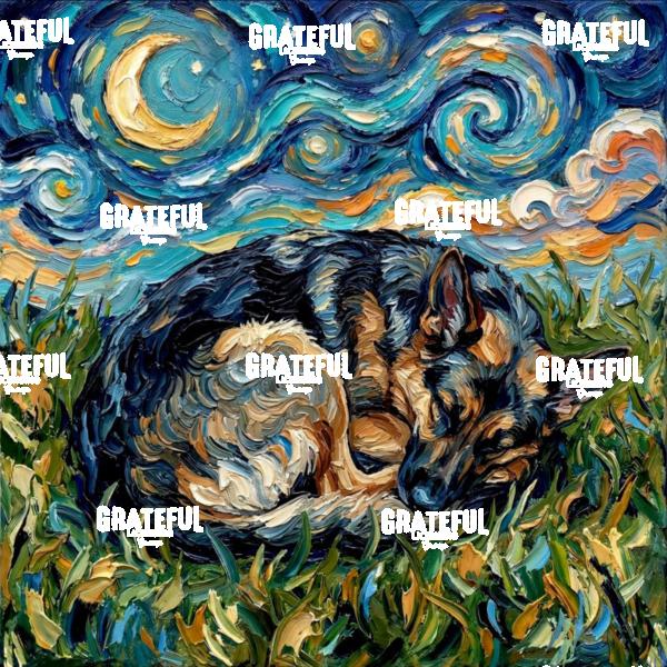Sleepy German Shepherd Night