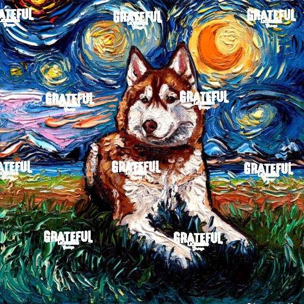 Red and White Husky Night