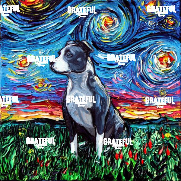 Pit Bull Night