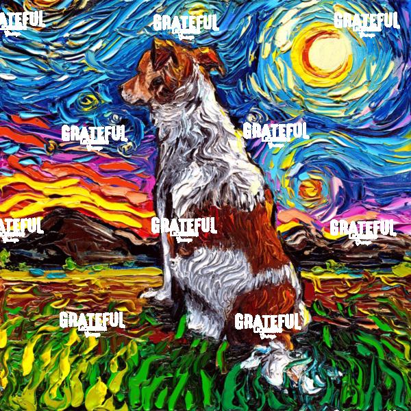 Kooikerhondje Night