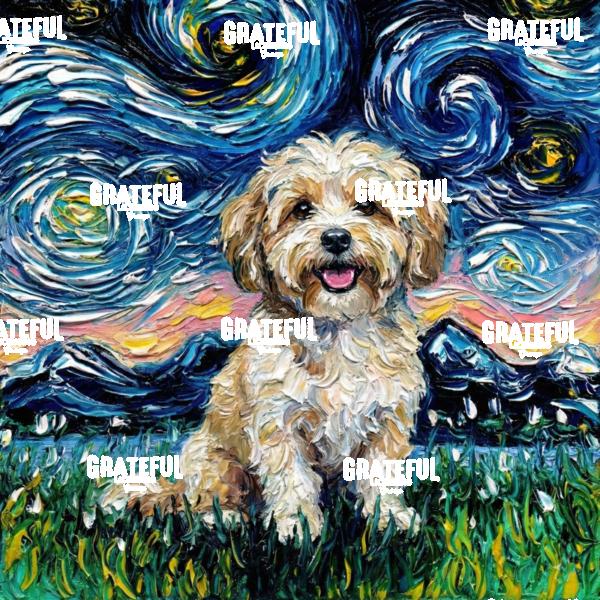 Havanese Night