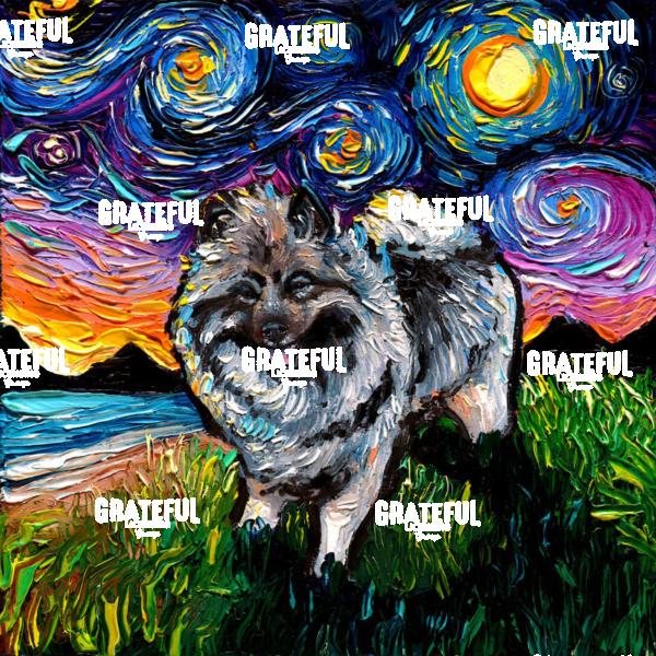 Keeshond Night