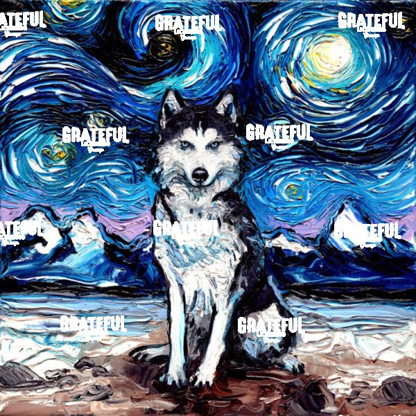 Husky Night