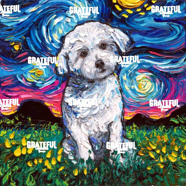 Maltese Night