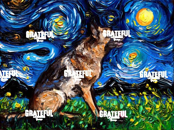 German Shepherd Night 3