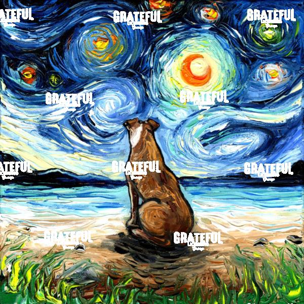 Beach Nights - Brown Pit Bull
