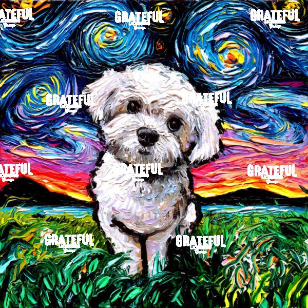 Maltipoo Night
