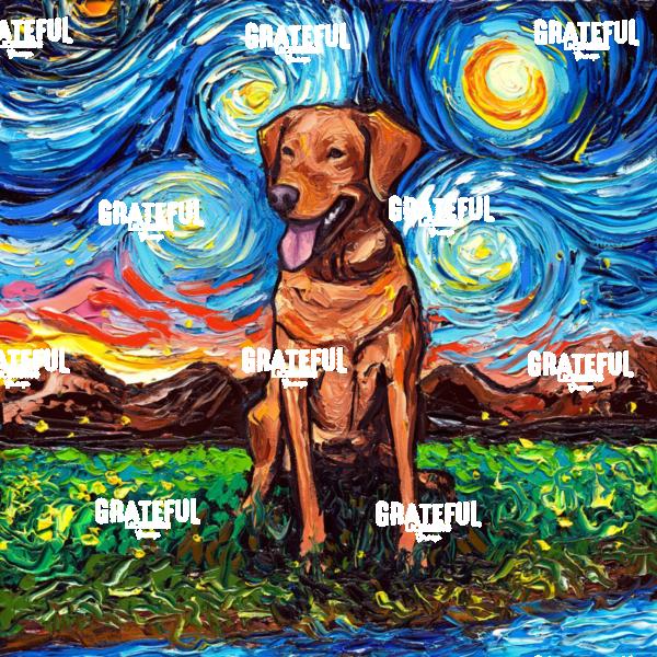 Fox Red Labrador Night
