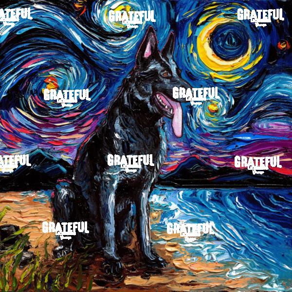 Black German Shepherd Night