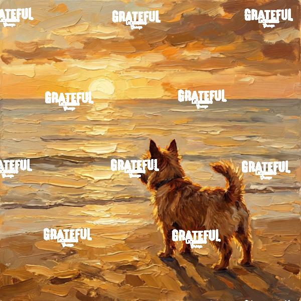 Beach Day - Norwich Terrier
