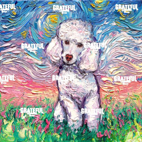 White Poodle Night