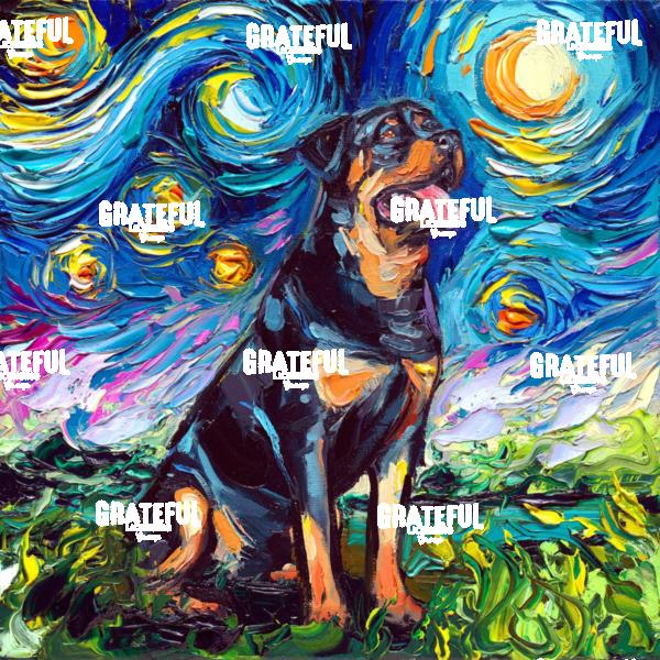 Rottweiler Night
