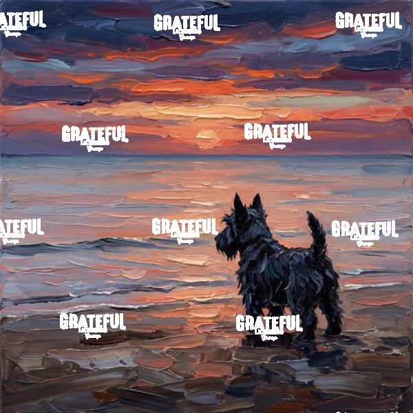 Beach Night - Scotty