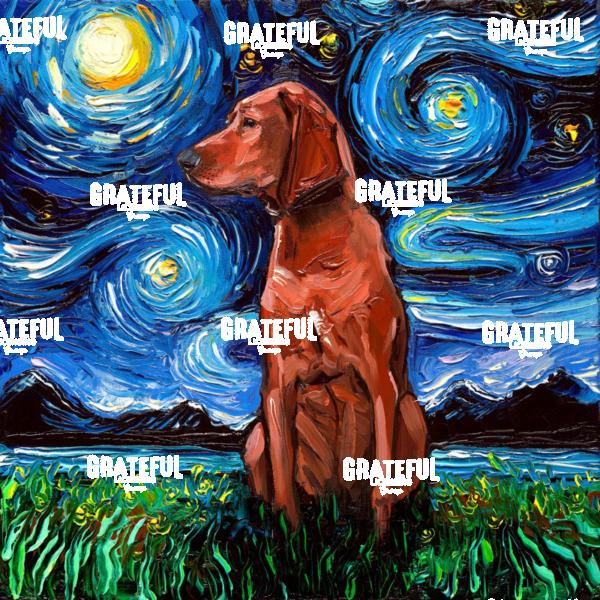 Redbone Coonhound Night
