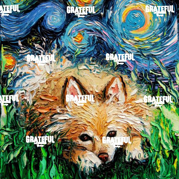 Pomeranian Night