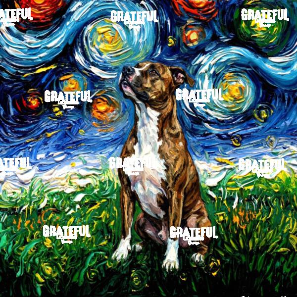 American Staffordshire Bull Terrier