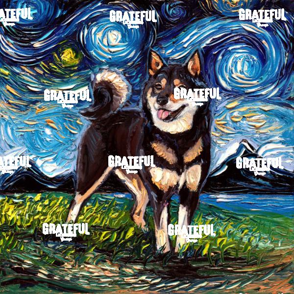 Black and Tan Shiba Inu Night