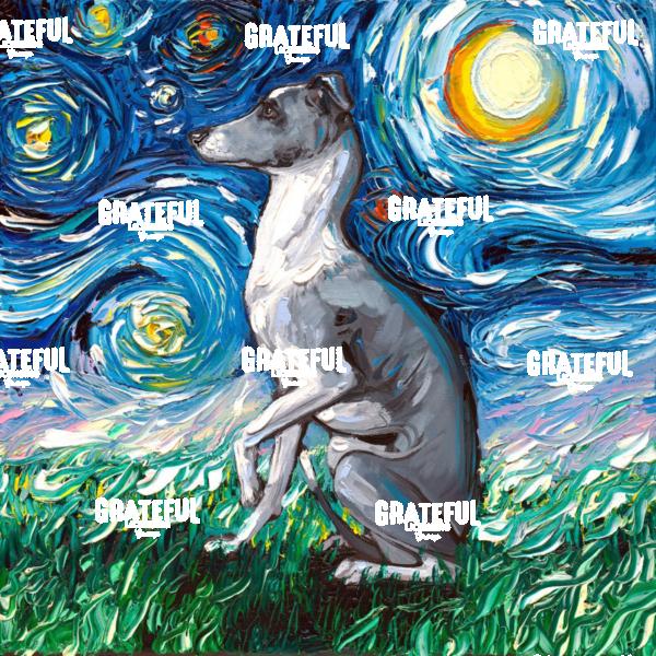 Whippet Night
