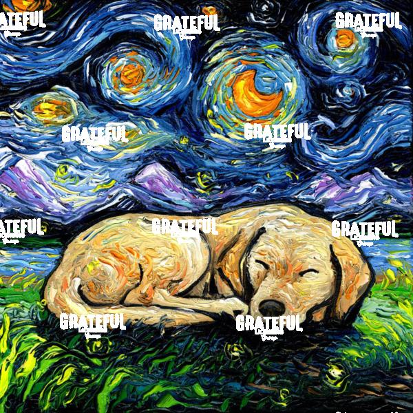 Sleepy Yellow Labrador Night