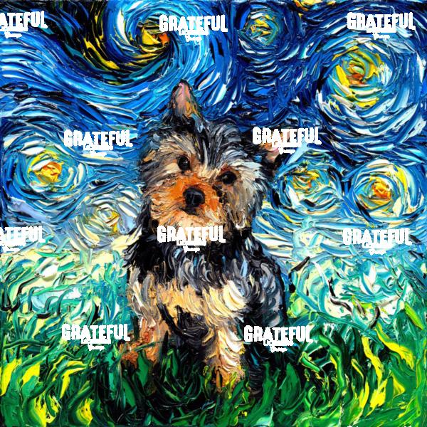 Yorkie Night