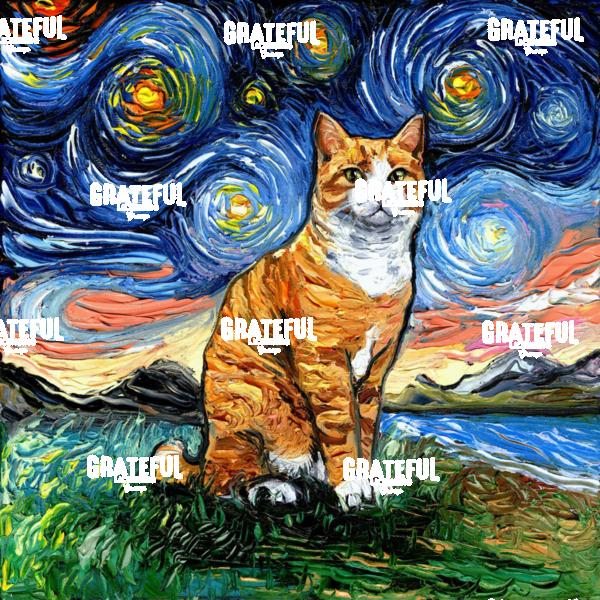 Orange Tuxedo Tabby