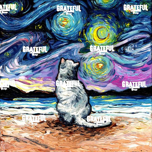 White Cat Night 2