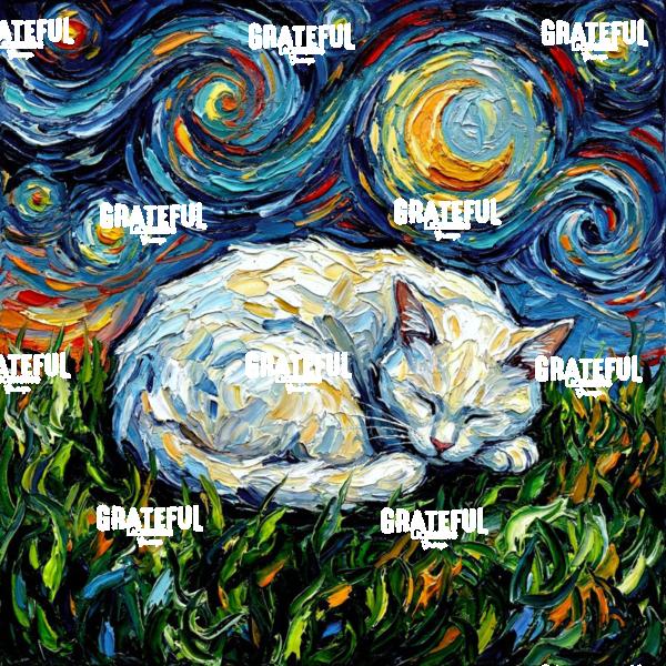 Sleepy White Cat Night