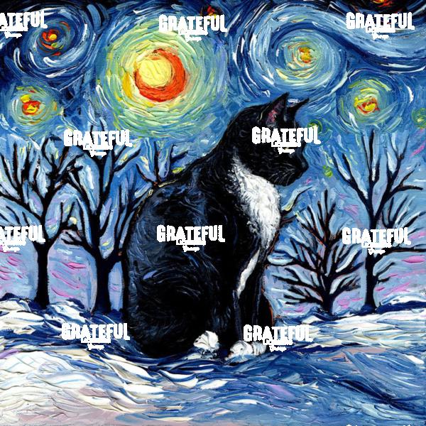 Winter Night - Tuxedo Cat
