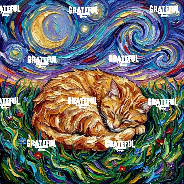 Sleepy Orange Tabby Night