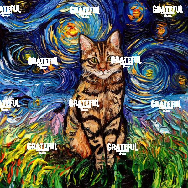 Brown Tabby Night