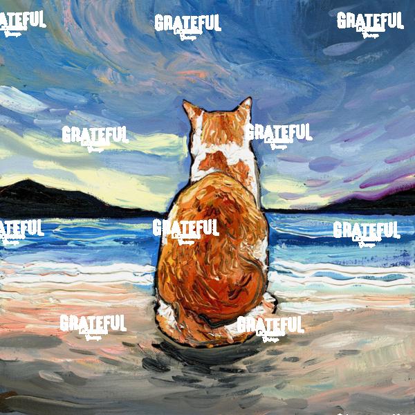 Beach Days - Orange and White Tabby