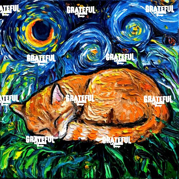 Orange Tabby Night