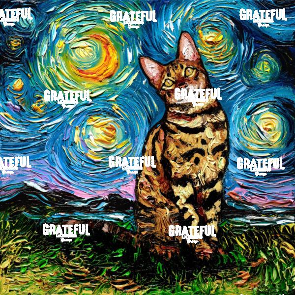 Bengal Night