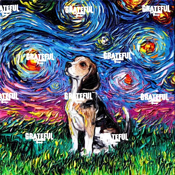 Beagle Night