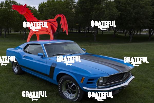 1970 Boss 302 Mustang (2)