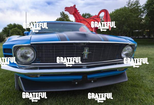 1970 Boss 302 Mustang (3)