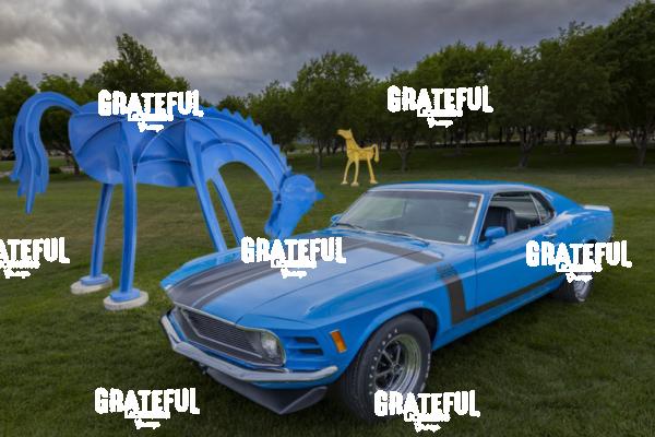 1970 Boss 302 Mustang (4)