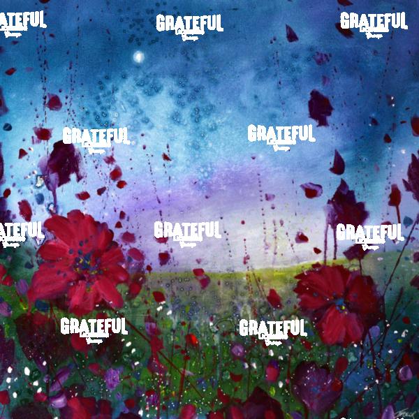 Poppies Under The Stars - 2026