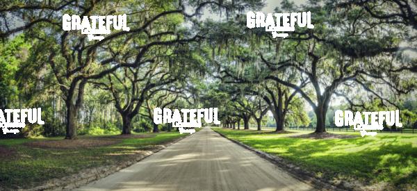 boone plantation 7