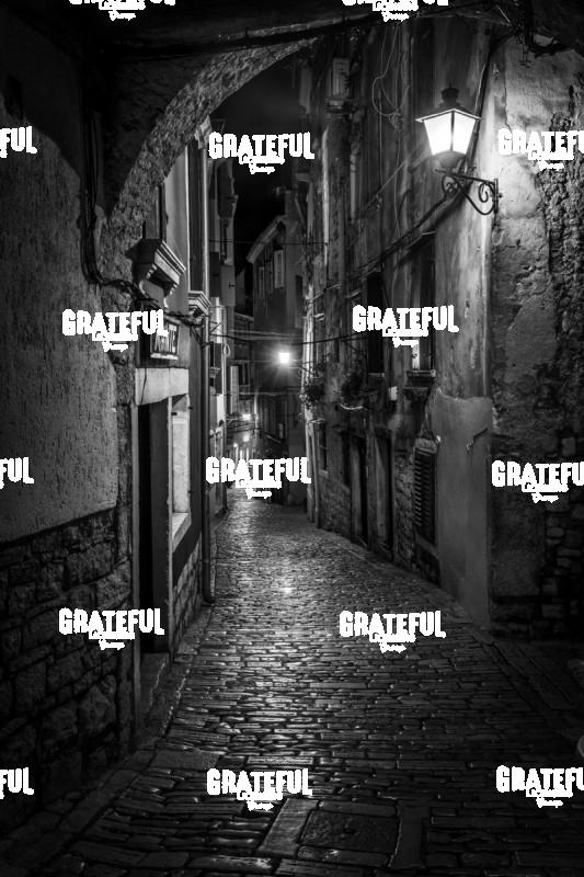 Grisia alleyway in Rovinj, Croatia 2