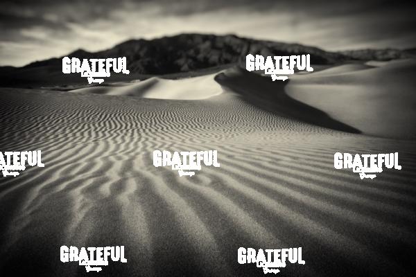 mesquite sand dunes in death valley 5
