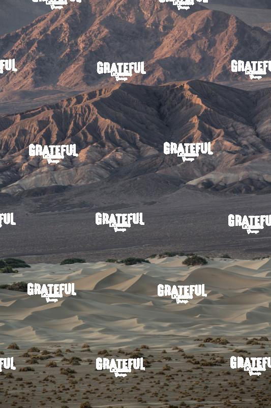 mesquite sand dunes sunrise 28