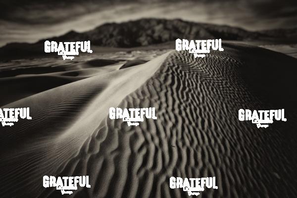 mesquite sand dunes in death valley 6