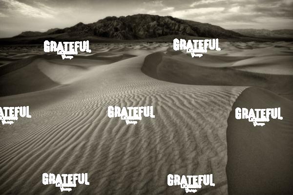 mesquite sand dunes in death valley 7