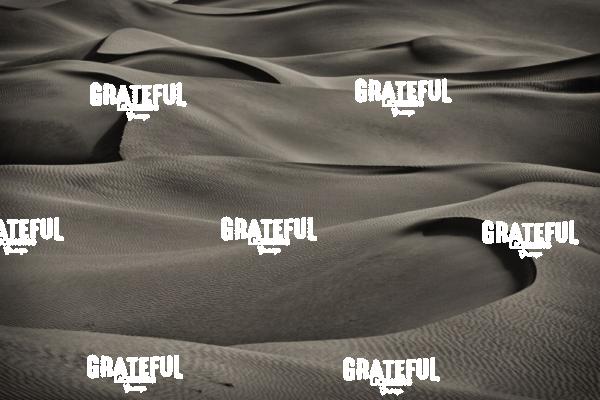 mesquite sand dunes sunrise 39