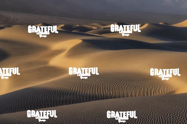 Mesquite Sand Dunes in Death Valley 31